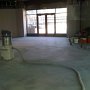 The_Jungle_at_Comerica_Park_Detroit_Seamless_epoxy (3)